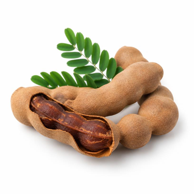 Fresh Tamarind